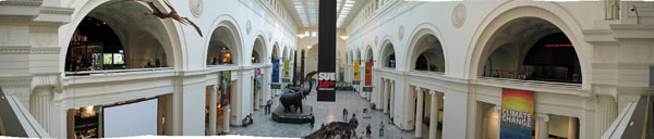 Field Museum in Chicago, IL. Looking south from second floor