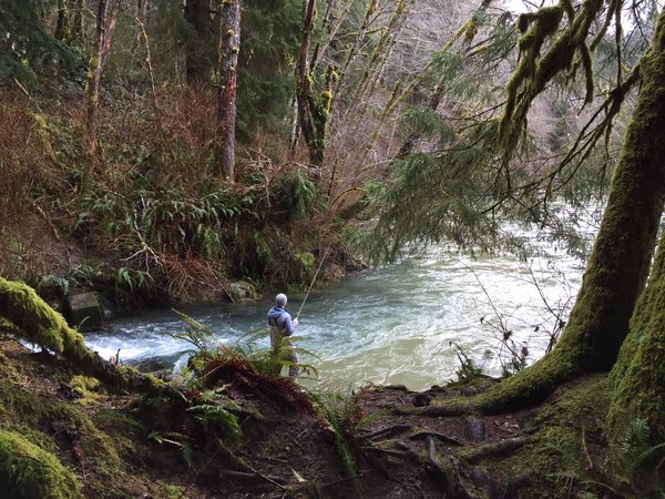 Tweet: Sol Duc stole 4 jigs, 2 floats, and spent most of…