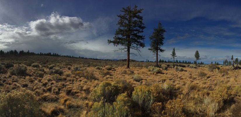 Tweet: Central Oregon is just swell. https://t.co/b8q27d3…